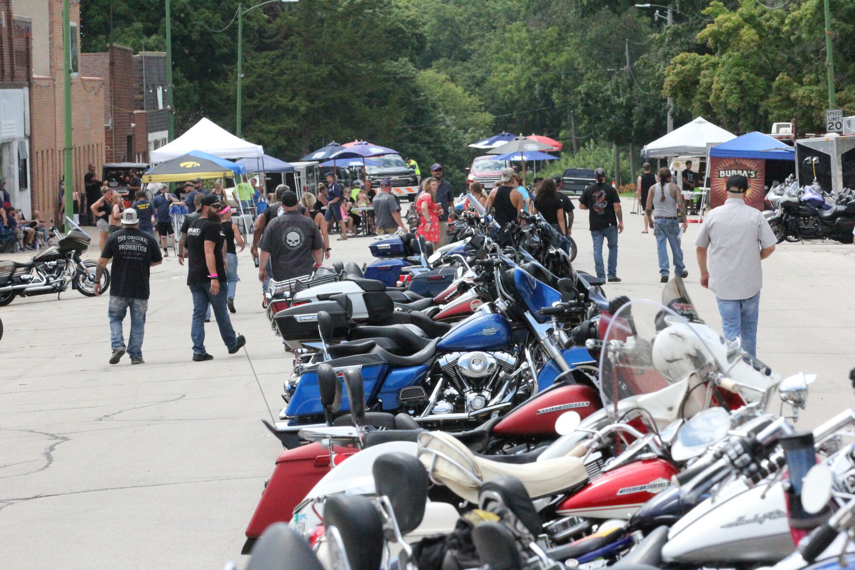 Pine_Lake_Fest_7462.JPG